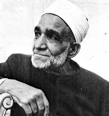 محمود شلتوت